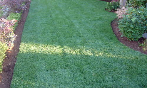 Clean up your home and garden