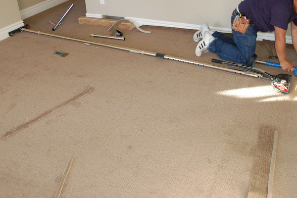 carpet stretcher across room