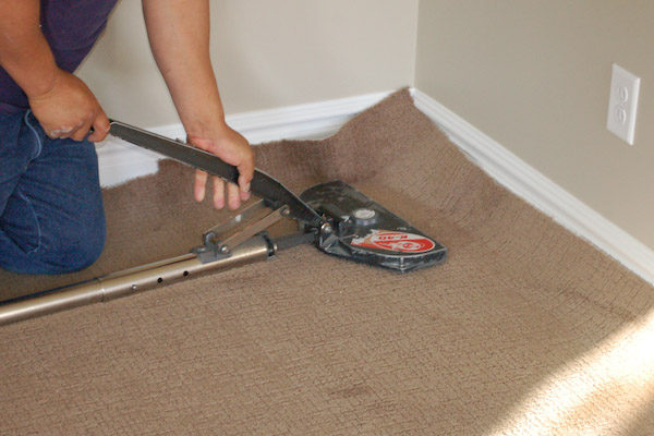 carpet stretching placing stretching end