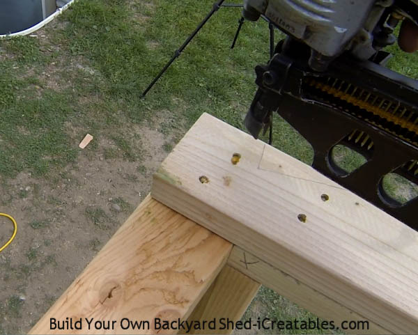 How to build shed walls nailing top plates