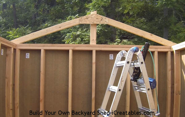 Install the rafter at the opposite end of the shed in the same way.