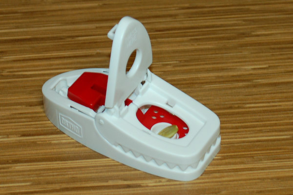 bait in mouse trap 