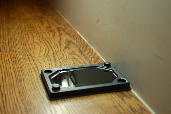 glue mouse trap along wall
