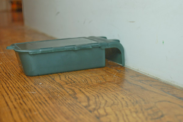 humane mouse trap set