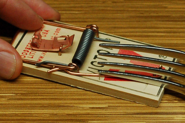 remove staple mouse trap