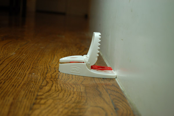 fully set mouse trap