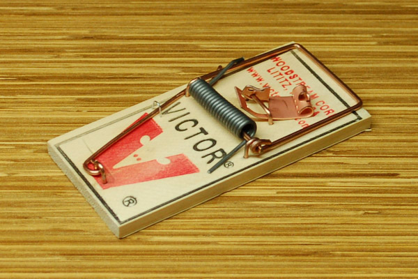 setting a victor mouse trap